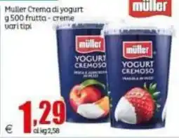 Elite Müller Yogurt Cremoso offerta