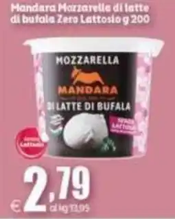 Elite Mozzarella di latte di bufala Mandara offerta