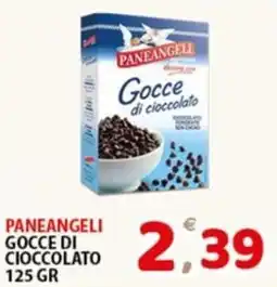 Premium Supermercati Paneangeli Gocce di cioccolato offerta