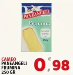 Premium Supermercati Cameo Paneangeli Frumina offerta