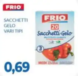 GeD Shopping Sacchetti Gelo Frio offerta