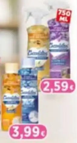GeD Shopping Candele offerta