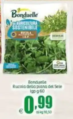 Elite Bonduelle Rucola della plana del Sele offerta