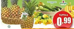 Elite Ananas Selex offerta