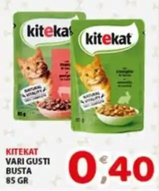 Kitekat vari gusti busta