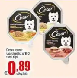 Elite Cesar cane vaschetta offerta
