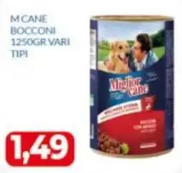 GeD Shopping Miglior cane bocconi offerta
