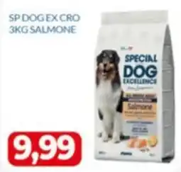 GeD Shopping Special Dog Excellence Salmone offerta