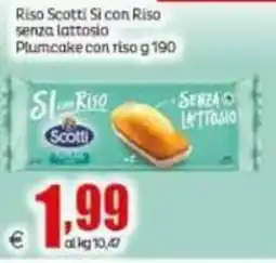Elite Plumcake con riso Scotti offerta