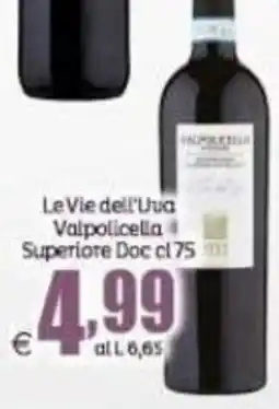 Elite Le Vie dell'Uva Valpolicella Superiore Doc offerta