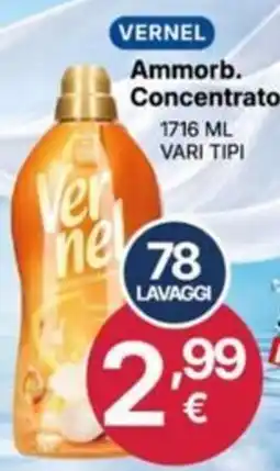 Ingroshop Ammorb. Concentrato Vernel offerta