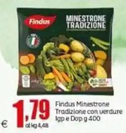 Elite Findus Minestrone Tradizione con verdure Igp e Dop offerta