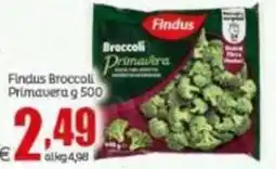 Elite Findus Broccoli Primavera offerta