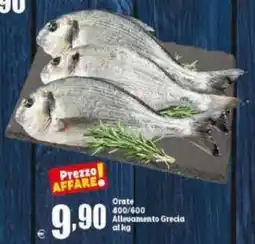 Elite Orate offerta