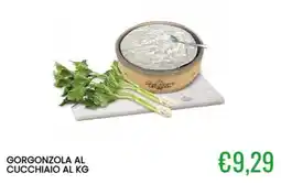 Sugros Gorgonzola al cucchiaino offerta