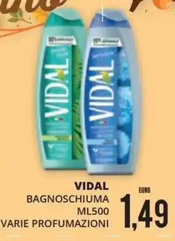 Mazzeo Supermercati Vidal bagnoschiuma offerta