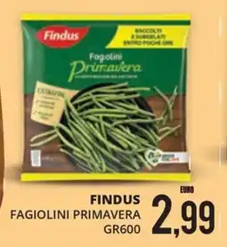 Mazzeo Supermercati Findus Fagiolini Primavera offerta