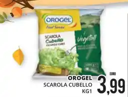 Mazzeo Supermercati Orogel scarola cubello offerta