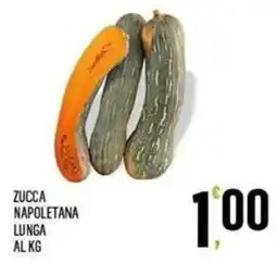 Vibian Zucca napoletana lunga offerta