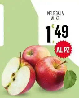 Vibian Mele Gala offerta