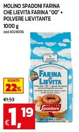 C+C maxigross Farina di Lievita Molino Spadoni offerta