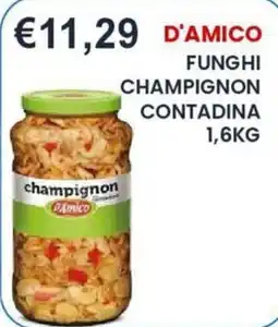 Caramico D'Amico funghi champignon contadina offerta
