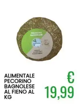 Sugros Pecorino Bagnolese al fieno offerta