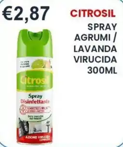 Caramico Citrosil spray disinfettante offerta