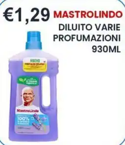 Caramico Diluito varie profumazioni Mastrolindo offerta