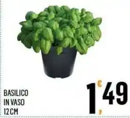 Vibian Basilico in vaso offerta