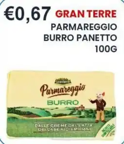 Caramico Gran Terre Parmareggio Burro Panetto offerta