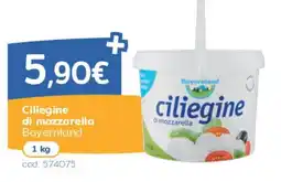 C+C Italmarket Ciliegine di mozzarella Bayernland offerta