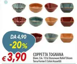 Galassia Coppetta Tognana offerta