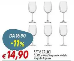 Galassia Set 6 calici Magnolia Tognana offerta