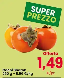 Interspar Cachi Sharon offerta