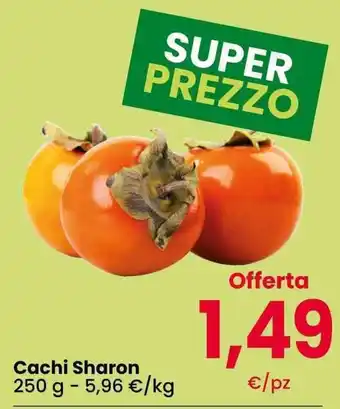 Cachi Sharon