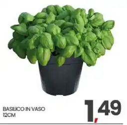 Interspar Basilico in vaso offerta