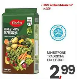 Interspar Minestrone tradizione Findus offerta