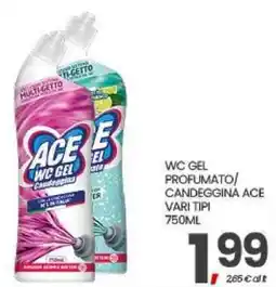 Interspar WC Gel Candeggina Ace offerta