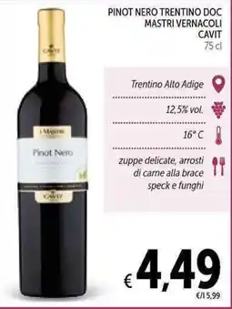 Spazio Conad Pinot Nero Trentino DOC Mastri Vernacoli offerta