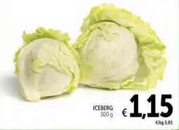 Spazio Conad Iceberg offerta