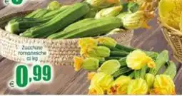 Elite Zucchine Tomanesche offerta