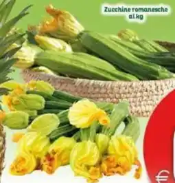 Elite Zucchine romanesche offerta