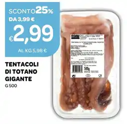 Ekom Tentacoli di totano gigante offerta