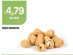 Ekom Noci guscio offerta