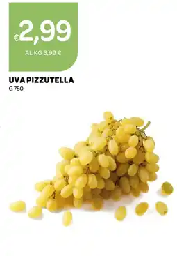 Ekom Uva Pizzutella offerta