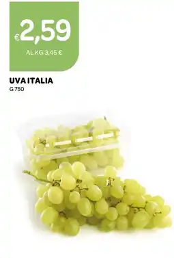 Ekom Uva Italia offerta