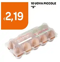 Ekom Uova fresche Fil Pellegrino offerta