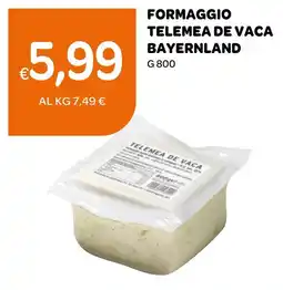Ekom Formaggio Telemea de Vaca Bayernland offerta
