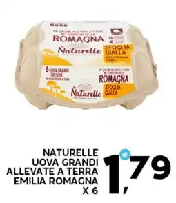 Extra Supermercati Uova grandi allevate a terra emilia romagna offerta